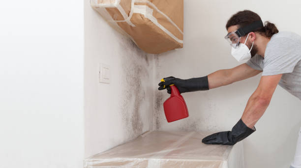 Professional Bathroom Mold Removal technician working in Madisonburg, PA